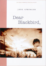 Dear Blackbird